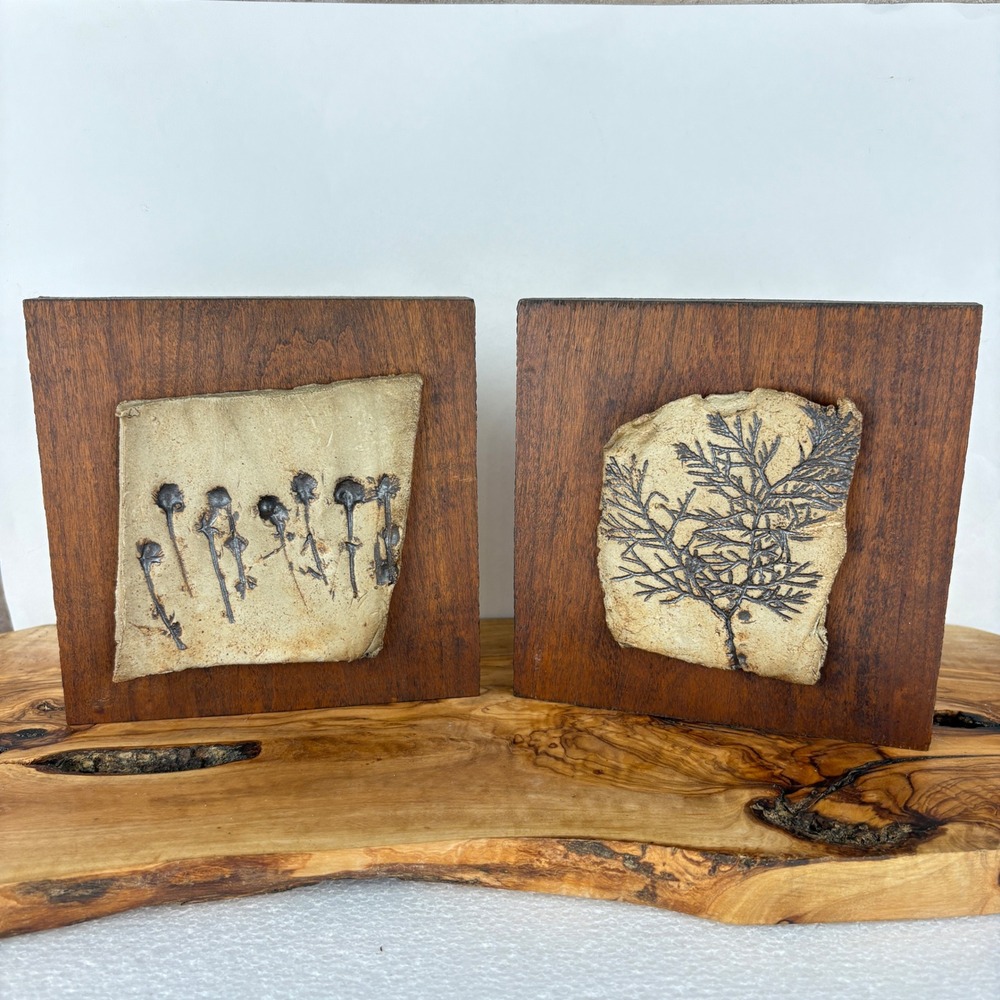 Vintage Botanical Ceramic Wood Block Art Set Bookends Wall Decor Nature Fossil